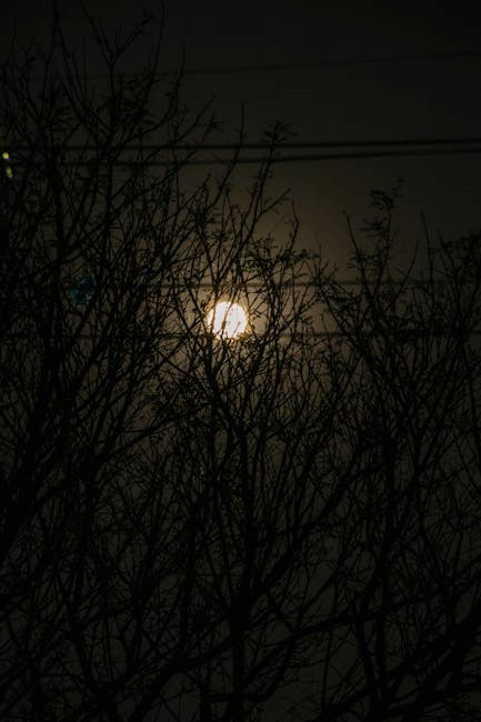 twilight eclipse pdf